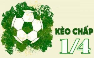 Kèo 1 1/4 là thể loại kèo gì? Khi nào nên chốt kèo 1 1/4