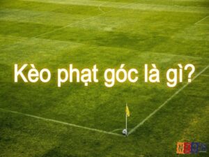 Kèo phạt góc kế tiếp là gì? Kinh nghiệm hay chốt kèo hiệu quả