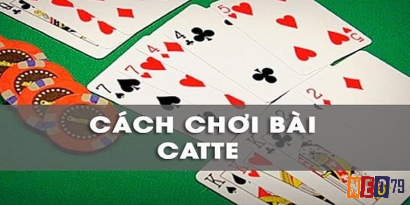 Cách chơi bài Catte là gì? quy định trình tự chi tiết