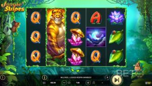 Game Slot Jungle Stripes: Cuộc phiêu lưu giữa rừng già